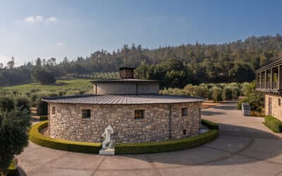 A One-Day St. Helena Wine Tasting Itinerary for the Unhurried Traveler