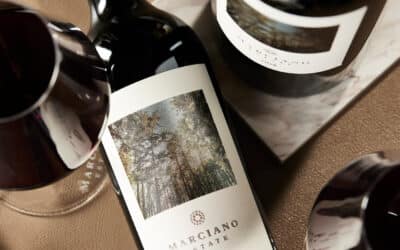 After Your Tasting: A Napa Valley Wine Travel Guide